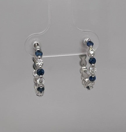 Colored Stone Earring