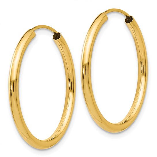 Precious Metal (No Stones) Earring